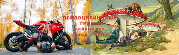 СК Горно-Алтайск