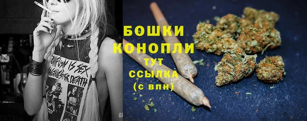 прущий лед Горняк