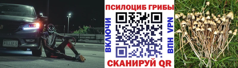 Галлюциногенные грибы прущие грибы Мценск